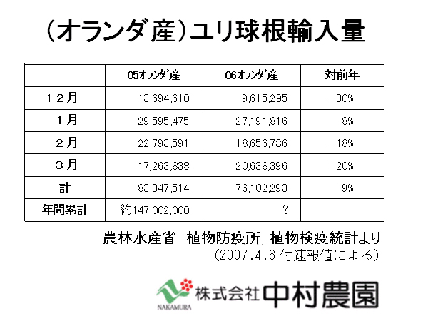 ０６オ産百合球根事情急変！！１２－３月輸入量９％減、どうなる国内産切り花！？（2007/4/9）