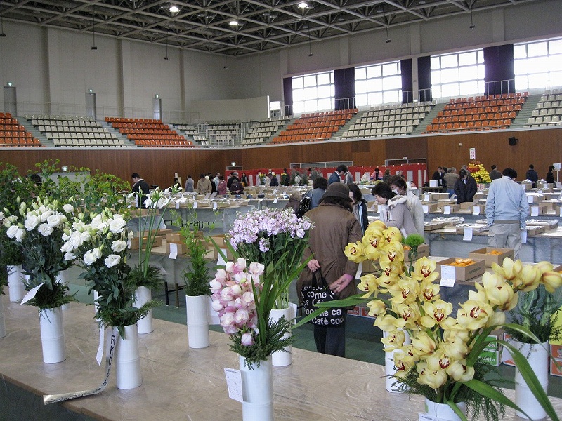 平成21園芸年度 高知県園芸品展示品評会 (2009/1/29)