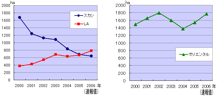 2006年オランダ産百合球根作付面積統計について(2006/8/2)