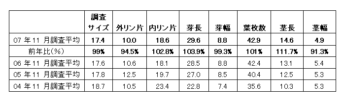 オランダ出張報告　（2007/11/24）