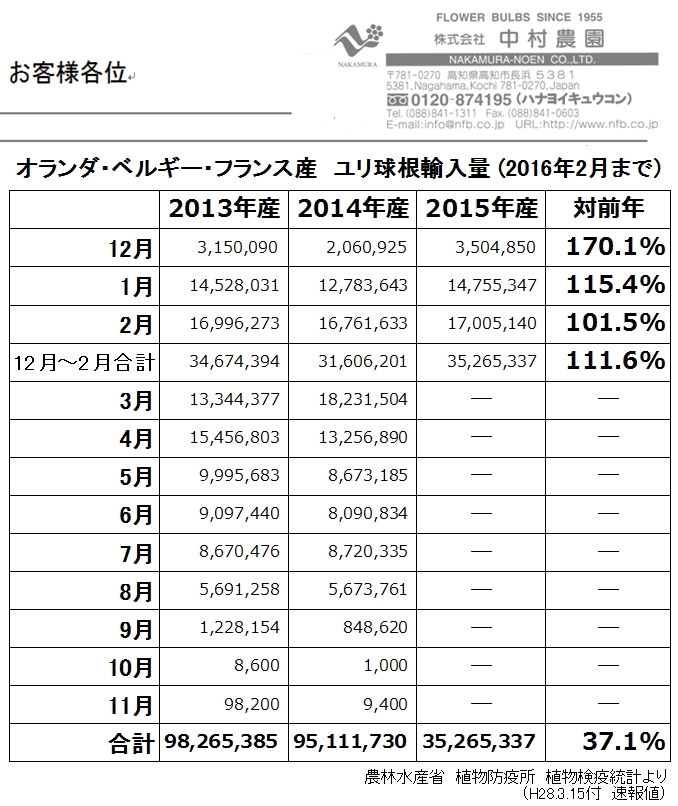 オランダ・ベルギー・フランス産ユリ球根輸入量（2016年2月まで）（2016/03/15）