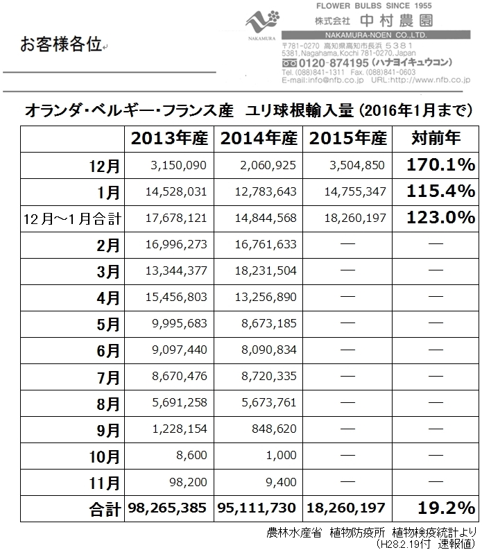 オランダ・ベルギー・フランス産ユリ球根輸入量（2016年1月まで）（2016/02/19）