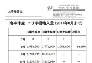 南半球産　ユリ球根輸入量（2017年8月まで）（2017/9/11）