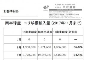 南半球産　ユリ球根輸入量（2017年11月まで）（2017/12/11）