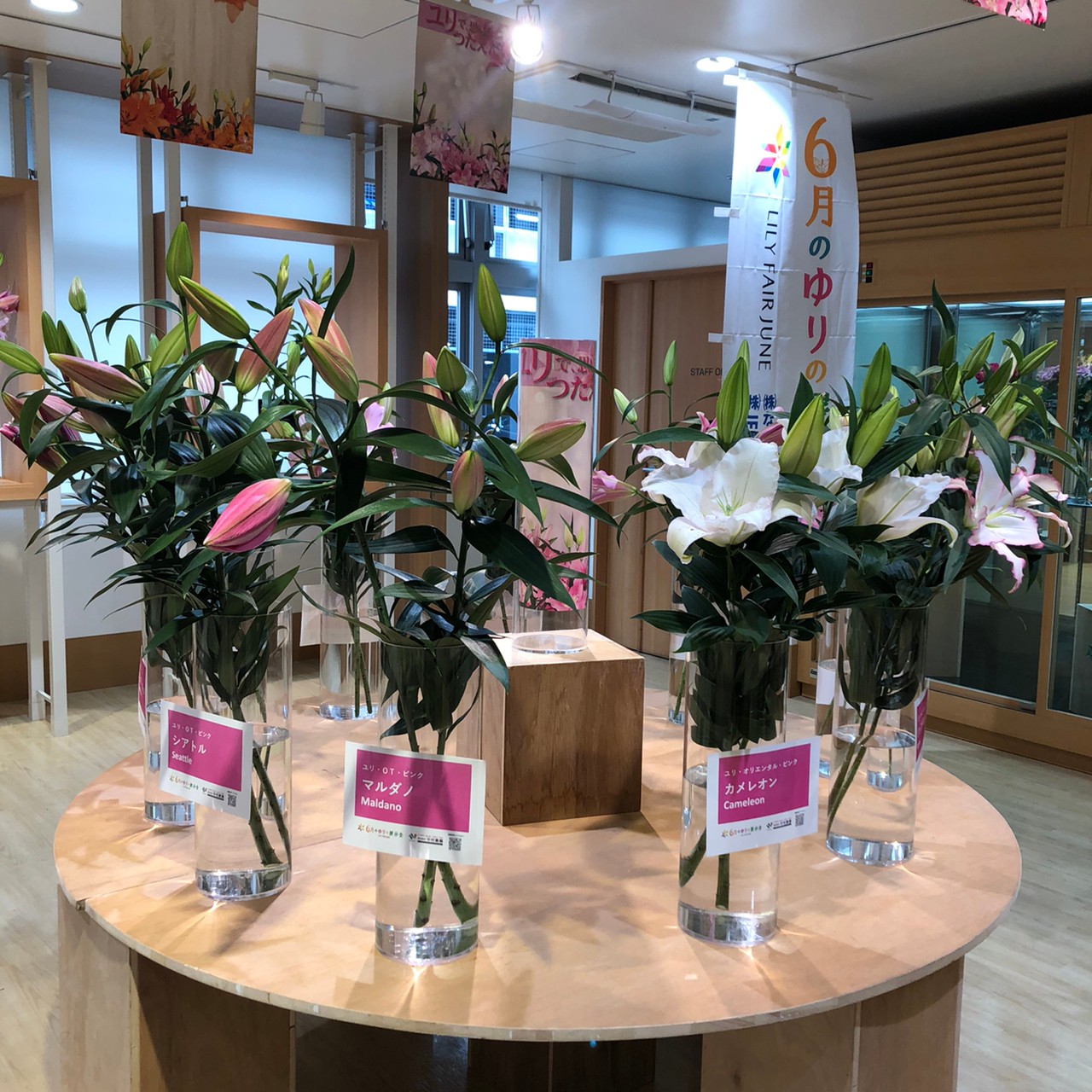 なにわ花いちば Jf鶴見花き 出張展示会 Lily Fair June At The Flower Auction 株式会社中村農園