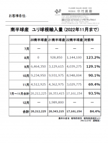 南半球産　ユリ球根輸入量(2022年11月まで)　(2022/12/27)