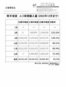 南半球産　ユリ球根輸入量(2022年12月まで)　(2023/1/23)