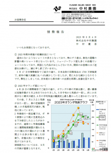 情勢報告(2023/08/04)