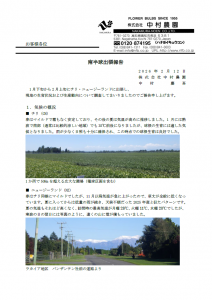 南半球出張報告（2025/02/12）